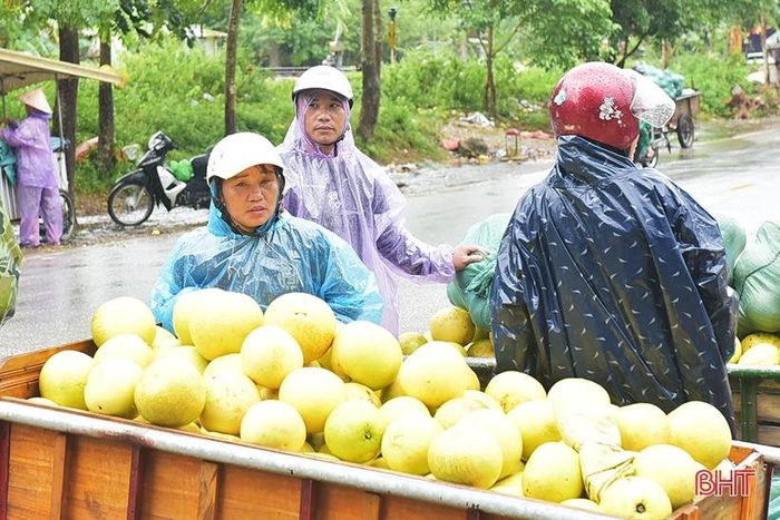 Tuy nhiên, trong thời điểm mưa lũ, khách hàng tìm mua bưởi cũng ít hơn so với ngày thường.