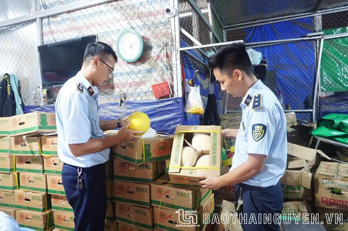 Lực lượng Quản lý thị trường kiểm tra cửa hàng kinh doanh hoa quả Lan Hào, ở chợ Túc Duyên (TP. Thái Nguyên), phát hiện nhiều loại quả không rõ nguồn gốc, xuất xứ.