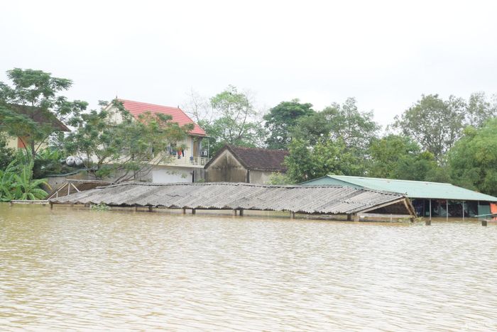 Theo ông Nguyễn Khánh Thành - Bí thư Đảng ủy xã Thanh Xuân cho biết, lũ đợt này đã khiến 63 hộ dân bị ngập nước, 150 hộ dân buộc phải di chuyển đến nơi ở an toàn. Trong ảnh, khu chợ của xã Thanh Xuân ngập sâu trong nước. Ảnh: Xuân Hoàng