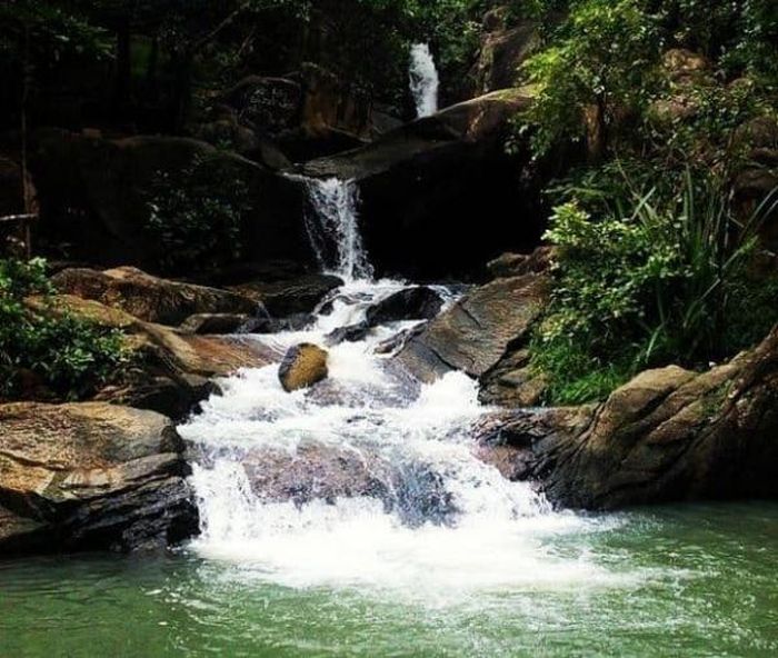 Rừng suối (lâm tuyền) – vẻ đẹp cổ điển của mỹ học phương Đông!