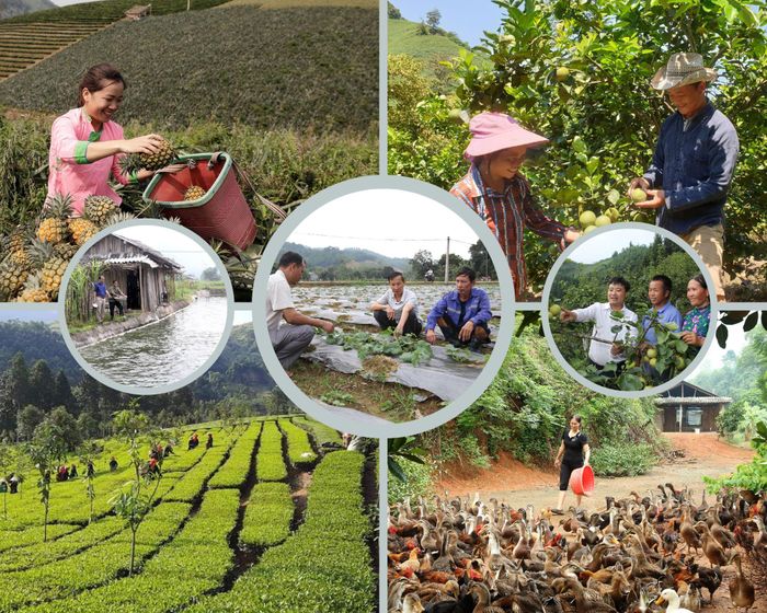 Nhiều loại cây, con giống mới đưa vào sản xuất giúp nâng cao đời sống cho người dân.