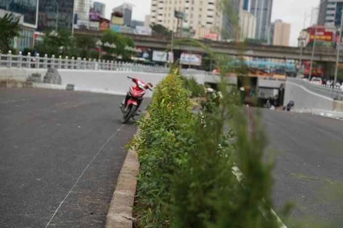  Dải phân cách giữa hầm chui được bố trí nhiều cây xanh.