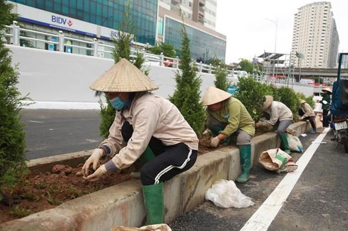 Cây xanh được chăm sóc sau khi trồng tại khu vực hầm chui. 