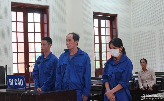3 bị cáo tại phiên tòa. Ảnh: Trần Vũ