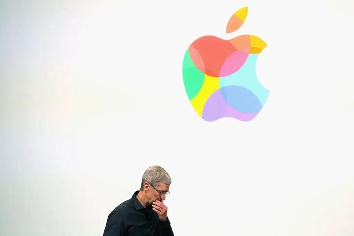  Tim Cook kỳ vọng nhân viên sẽ biết hợp tác, sáng tạo, luôn tò mò và có kinh nghiệm chuyên môn. Ảnh: Getty Images. 