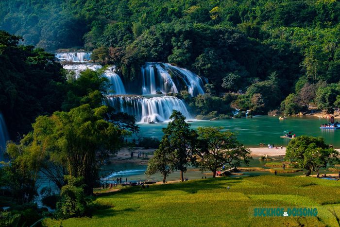 Thác Bản Giốc nằm ở địa phận xã Đàm Thủy, huyện Trùng Khánh, tỉnh Cao Bằng. Dưới chân thác là mặt sông rộng, phẳng như gương. Hai bên là những thảm cỏ, ruộng lúa xanh ngát.
