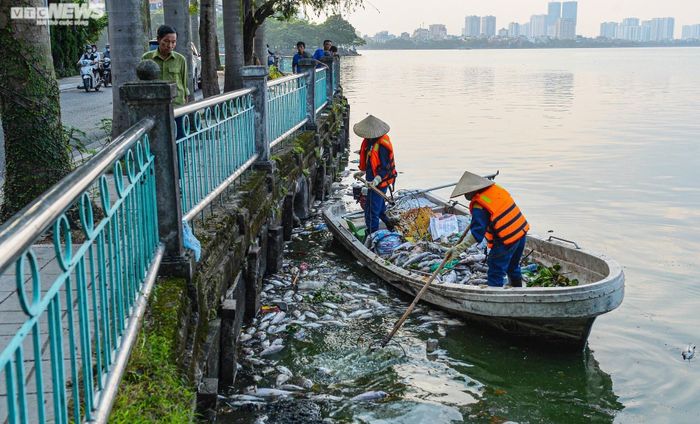 Ông Nguyễn Đình Khuyến, Chủ tịch UBND quận Tây Hồ cho biết, đơn vị đã nắm được thông tin cá chết hàng loạt và báo ngay cho Công ty Thoát nước Hà Nội xử lý, khắc phục.