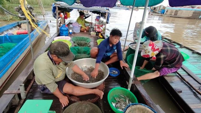 Bà con đang phân loại, làm sạch chiến lợi phẩm.