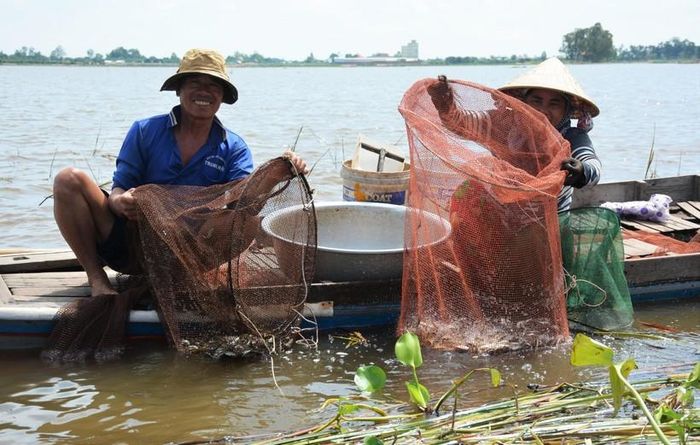 Nhờ nước lũ, nhiều hộ ở vùng lũ có thu nhập khá nhờ khai thác thủy sản.
