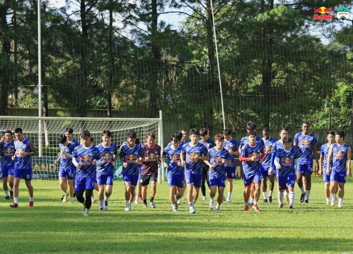 HAGL vs TPHCM (18h00). ảnh HAGL FC