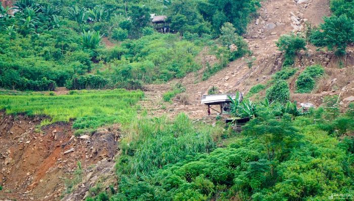  Những gì còn lại của một lán trại do người dân lập nên để trông coi hoa màu trong vùng sản xuất. Ảnh: Thành Cường 