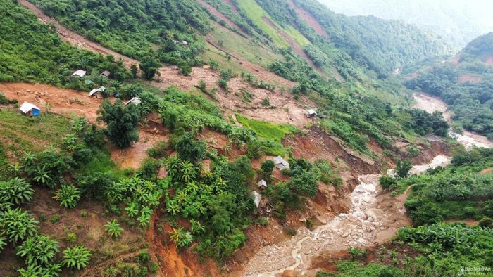 Cây cối, hoa màu, chuồng trại bị đất đá nhấn chìm, kéo đổ xuống dòng nước. Ảnh: Thành Cường