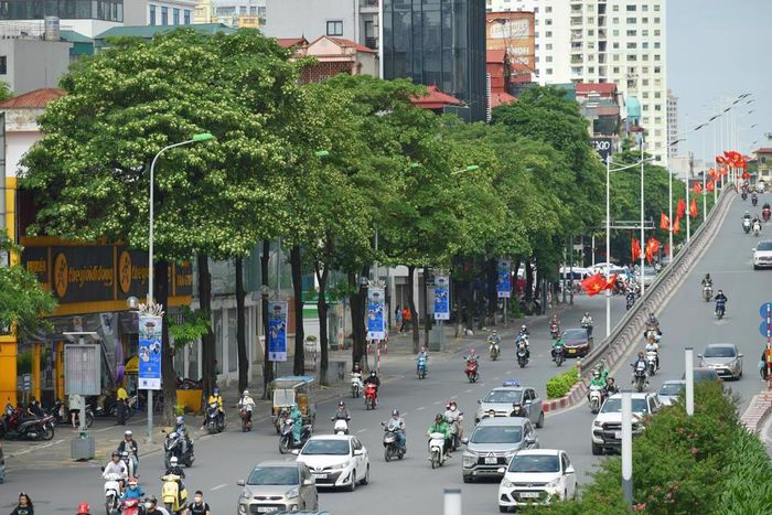 Những cơn gió se se lạnh tràn về TP cũng là lúc mùi hoa sữa nồng nàn, da diết ngập tràn trên phố phường Hà Nội.