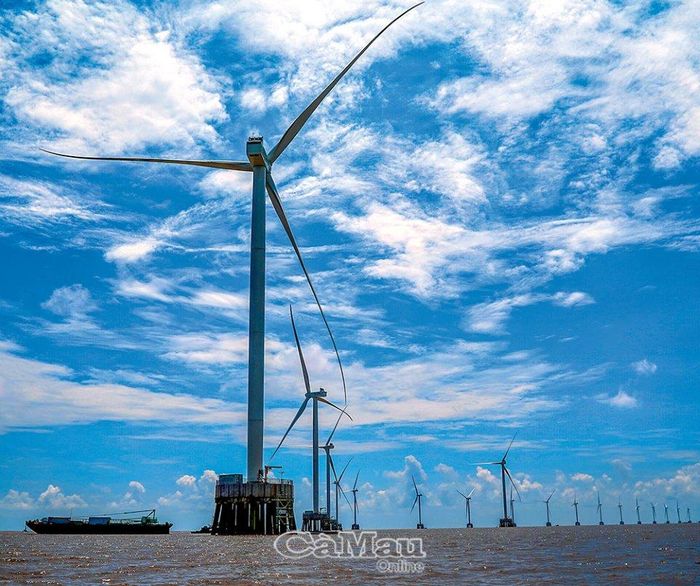 Qua hơn 2 năm, công trình điện gió Tân Thuận hiện đã xây dựng 18 trụ turbine điện gió, do Công ty Cổ phần Năng lượng tái tạo Cà Mau (CMC) làm chủ đầu tư.