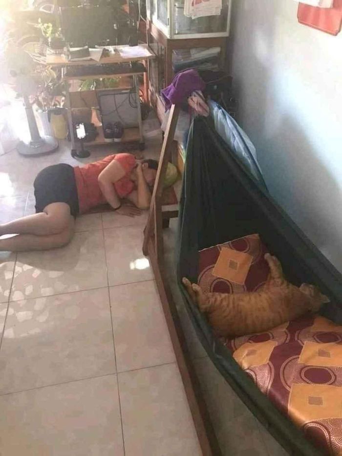 Võng thuộc về "con ruột" của mẹ còn "con ghẻ" phải nằm đất.