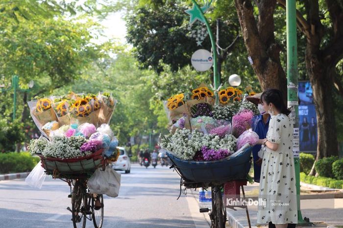 Cuối thu, khi các loài hoa khác bắt đầu rụng cánh, xanh xao, hoa thạch thảo lại bắt đầu khoe sắc. Chính vì thế, nhiều người đem lòng yêu mến những sắc hoa vào dịp này.