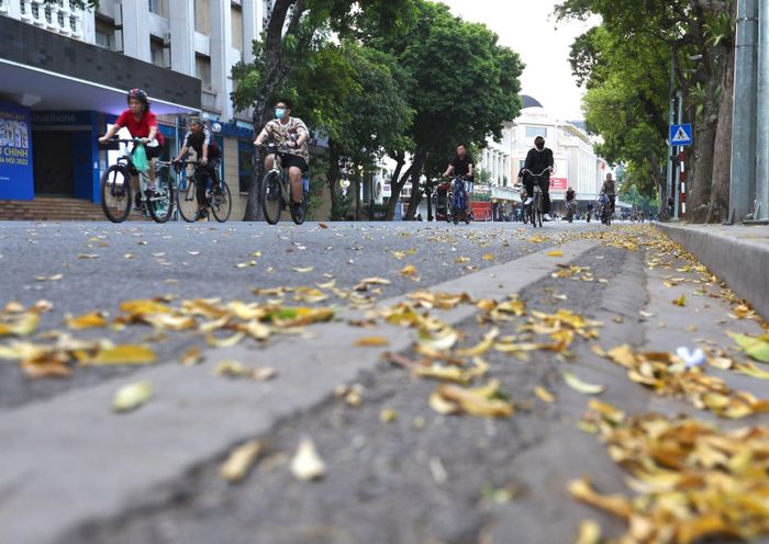 Lá vàng trên Phố Đinh Tiên Hoàng một sáng cuối thu