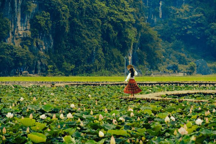 Điểm du lịch Ninh Bình này là nơi hội tụ nhiều ưu điểm như phong cảnh núi non hùng vĩ, những cánh đồng tuyệt đẹp của khu vực Tam Cốc và đặc biệt là việc mô phỏng lại thiết kế của Vạn Lý Trường Thành. Ảnh: Nguyễn Thế Vinh