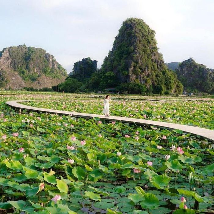 Cảnh sắc vùng Tam Cốc cũng khoác lên mình diện mạo mới trong những ngày thu. Ảnh: Hải Phạm