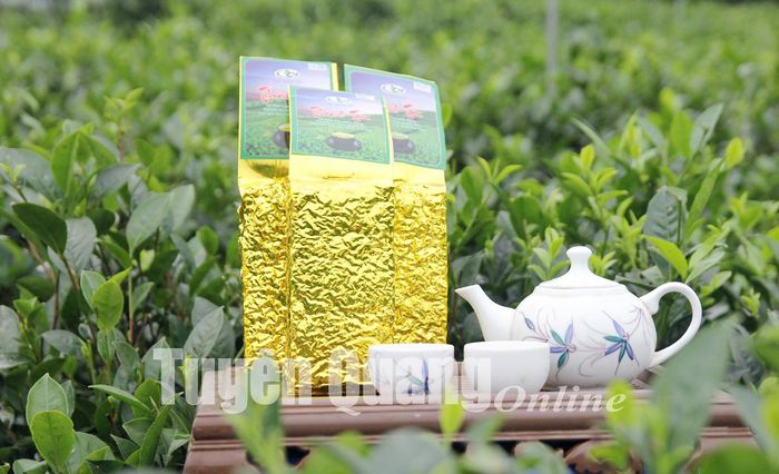 Chè Thanh Trà là 1 trong 12 sản phẩm đạt chuẩn OCOP 3 sao của tỉnh năm 2021.