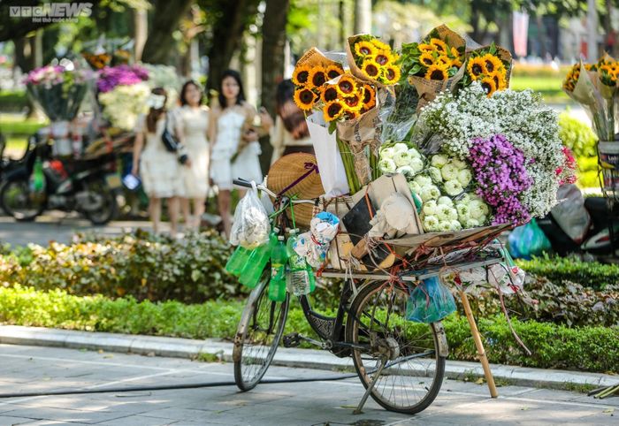 Thu Hà Nội còn được tô điểm bởi những xe bán hoa rong chở đầy cúc họa mi, sen trắng, hoa đồng tiền… rong ruổi trên khắp phố phường.
