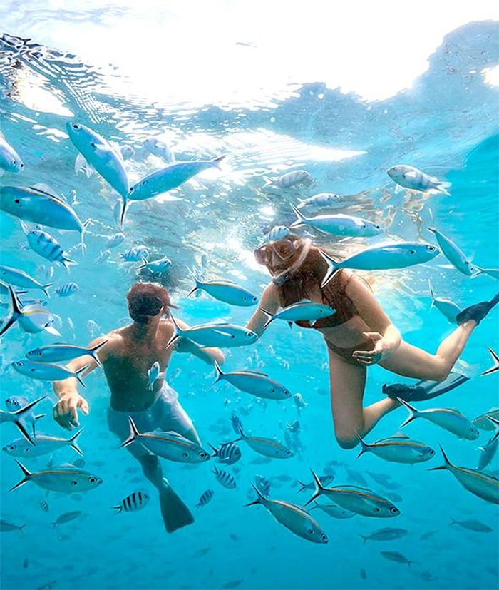 Lặn biển ở Cộng hòa Fiji. Nguồn: fiji.travel