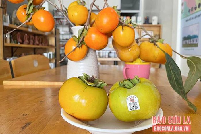 Hồng được trang trí trong không gian nhà ở. 
