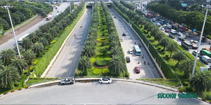 Hàng dây leo rủ bóng tạo vùng xanh nên thơ khiến người đi đường như lạc vào vườn cổ tích giữa lòng Thủ đô.