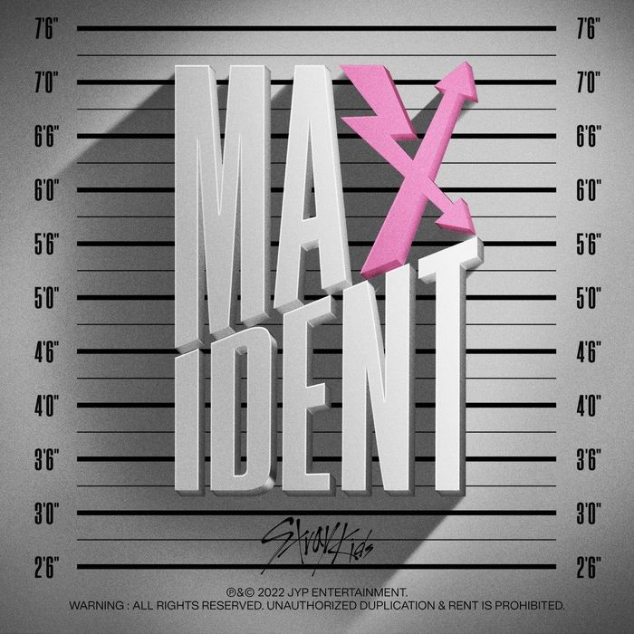 Bìa đơn giản của “Maxident”