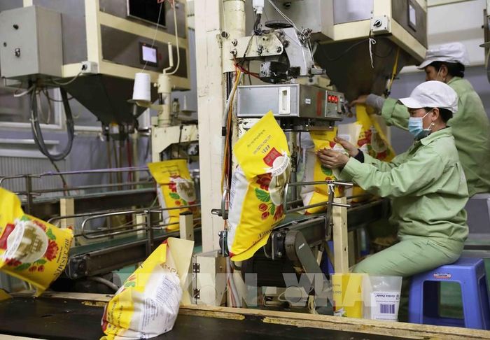 Hiện nay, Tập đoàn Lộc Trời có 5 nhà máy lương thực với công suất 200.000 tấn/năm. Ảnh: Phạm Hậu - TTXVN