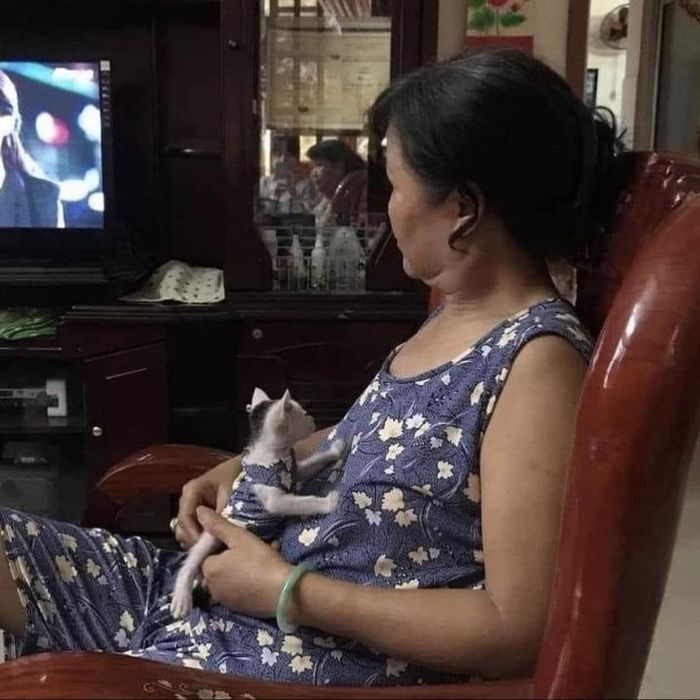 May đồ cũng phải chừa một khúc vải để may cho bé mèo con.