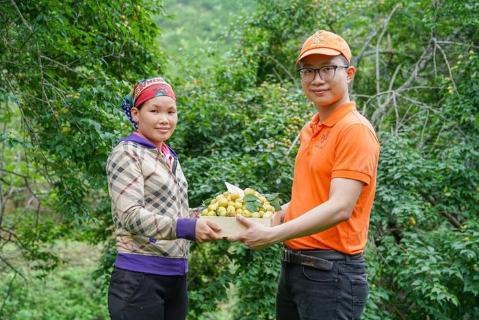 Nguyên liệu chế biến và sản xuất 100% đều là các sản phẩm trong nước.