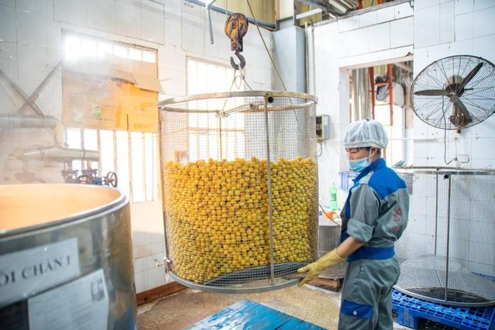 Hệ thống máy móc hiện đại.