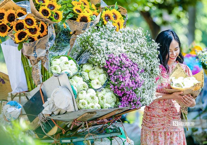 Nụ cười rạng ngời của nữ sinh Hà Thành chụp với loài hoa yêu thích dưới tiết thu Hà Nội.
