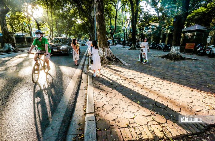 Khoảnh khoắc bình minh tuyệt đẹp khi những tia nắng xuyên qua hàng cây, kẽ lá.