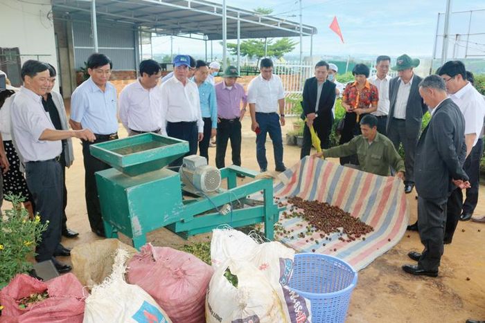 Các đồng chí lãnh đạo tỉnh thị sát Mô hình Chế biến nông sản trên địa bàn Lâm Hà
