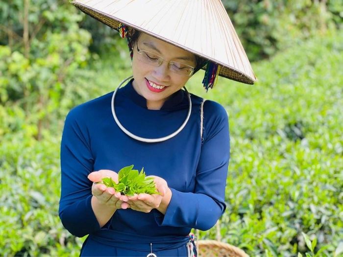 Giám đốc HTX Trà Sơn Dung thế hệ tiếp nối Sơn Dung Trà