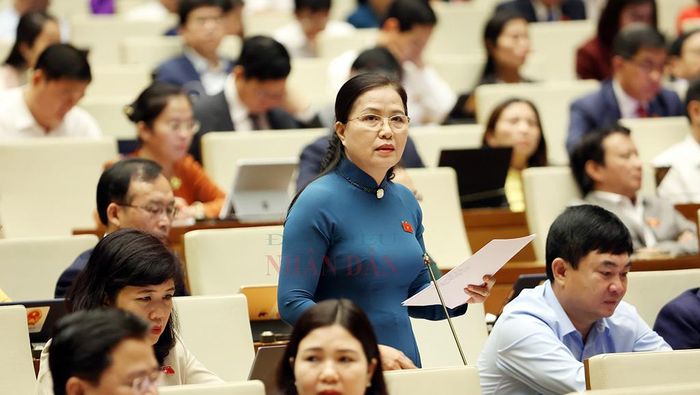 Đại biểu Quốc hội Đỗ Thị Lan (Quảng Ninh) phát biểu. Ảnh: Quang Khánh