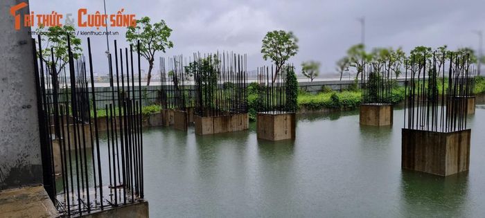 Và là một ao tù chứa nước mưa.