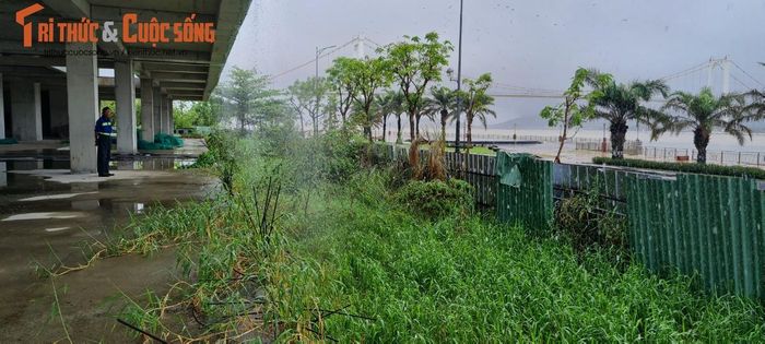 Xa xa là cầu Thuận Phước - cầu treo dây võng dài nhất Việt Nam.