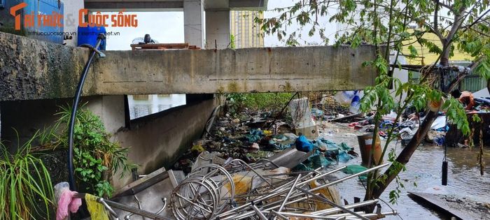 Khung cảnh nhếch nhác ngay giữa trung tâm thành phố.