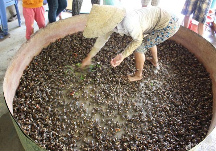 Cáy săn về được bán cho các điểm thu mua hoặc hoặc bán cho người dân địa phương chế biến thực phẩm. Ảnh: Huy Thư