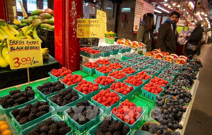 Người dân mua sắm tại một khu chợ ở Toronto, Canada, ngày 19/10/2022. Ảnh: THX/ TTXVN