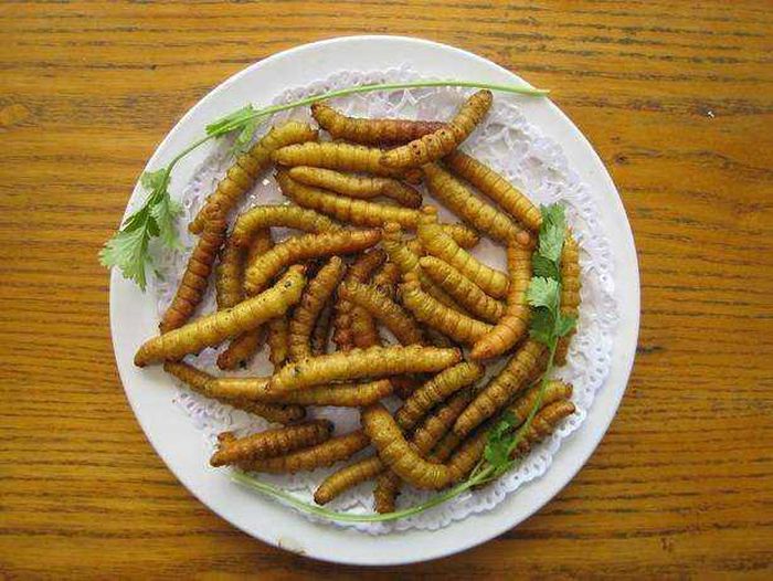 Bây giờ cuộc sống ở quê ngày càng khấm khá, chẳng mấy ai chịu trồng mấy sào đậu nên sâu đậu nghiễm nhiên ít đi, muốn ăn cũng khó.
