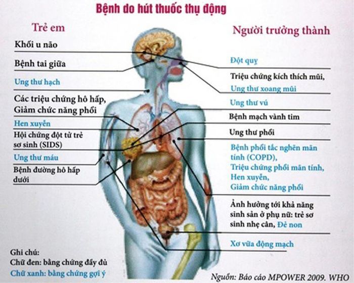 Các bệnh do hút thuốc thụ động gây nên. Ảnh minh họa