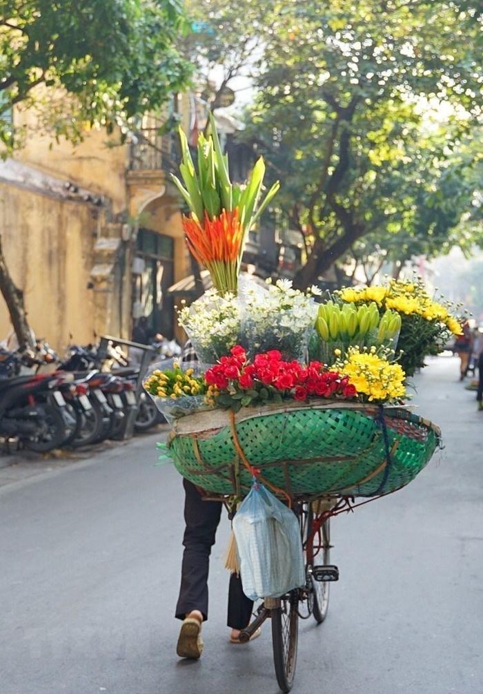  Chỉ cần nhìn vào các loại hoa, sắc hoa riêng trên xe, người ta có thể biết được Hà Nội đang ở mùa nào. (Ảnh: Khánh Hòa/TTXVN) 