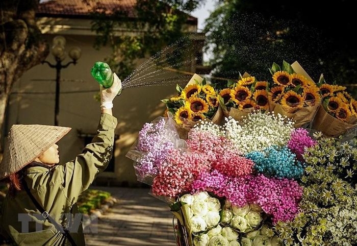  Các loại hoa được tưới thường xuyên để đảm bảo độ tươi trong cả ngày. (Ảnh: Khánh Hòa/TTXVN) 