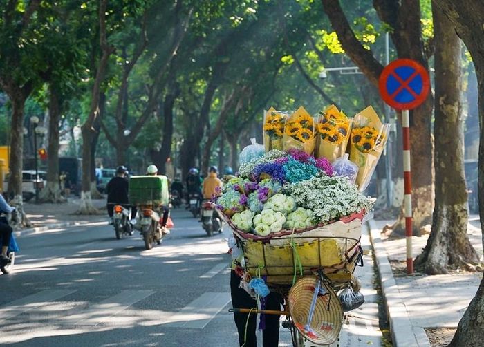  Không biết từ bao giờ, xe đạp chở hoa bán rong trên phố đã trở thành một nét đẹp bình dị, độc đáo mang tính đặc trưng của phố phường Hà Nội. Trong ảnh: Một xe hoa rong trên phố Phan Đình Phùng. (Ảnh: Khánh Hòa/TTXVN) 