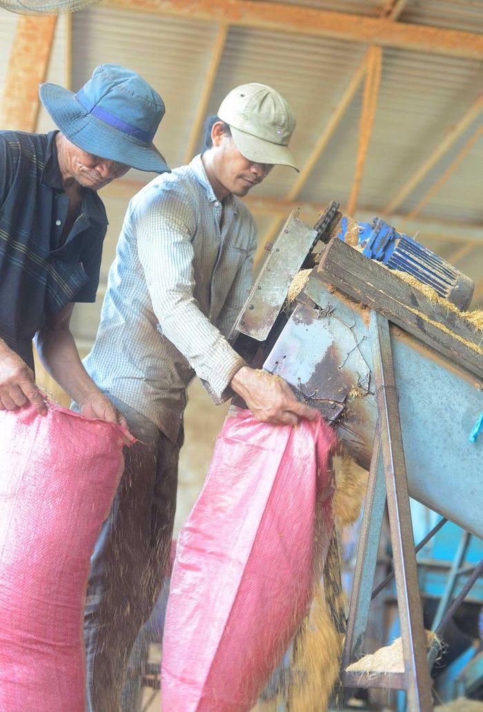 Vỏ dừa được cho vào máy nghiền, lấy mụn dừa làm phụ phẩm phục vụ sản xuất nông nghiệp, trồng lan, làm phân hữu cơ…