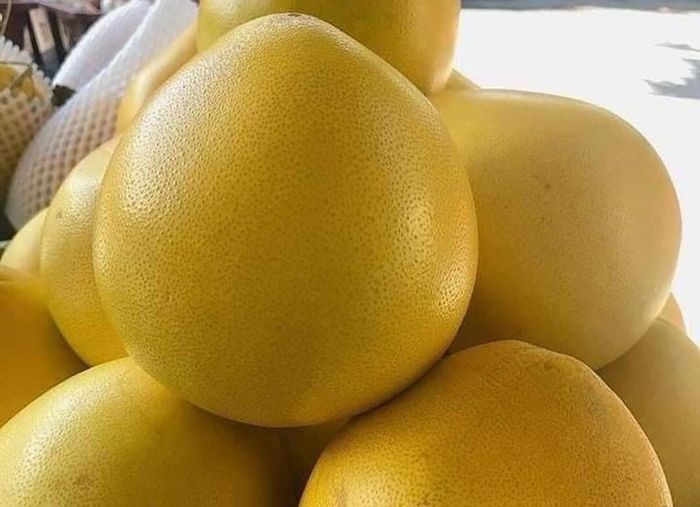 Bưởi Phúc Kiến (Trung Quốc) giá bán sỉ từ 15.000-22.000 đồng/quả tùy loại (Ảnh: NVCC)